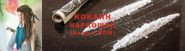 крисы Баксан