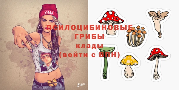 крисы Баксан
