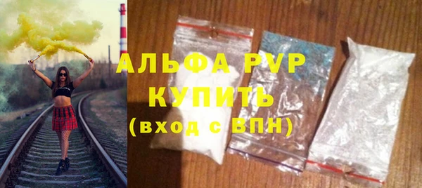 крисы Баксан