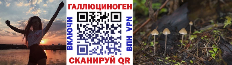 Псилоцибиновые грибы Psilocybe  купить наркотик  Урень 